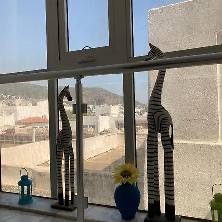 Can Pansiyon Kwatera prywatna Bodrum